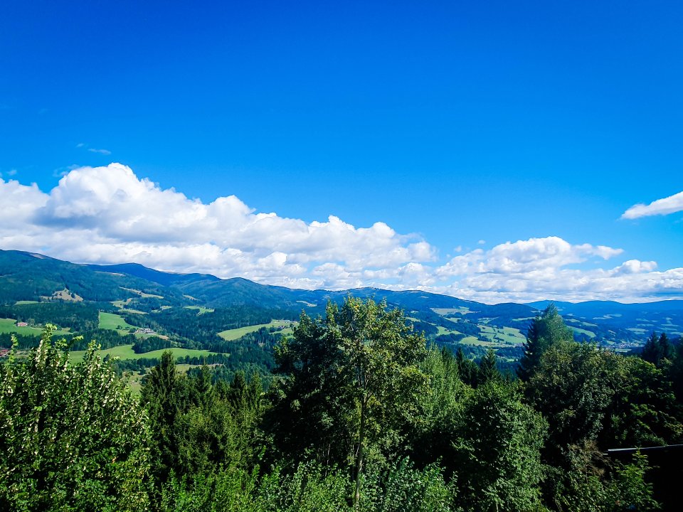 1774_bild103.jpg