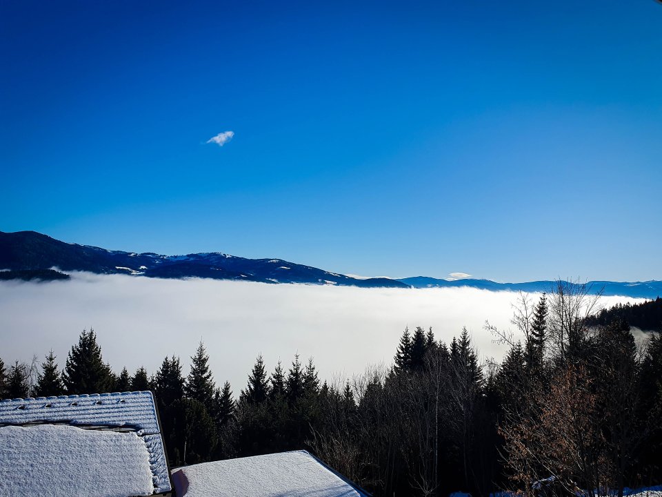 1774_bild105.jpg